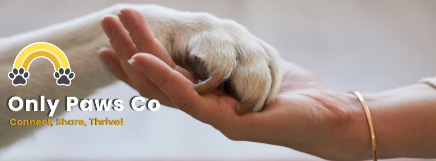 Connecting Paws with Care